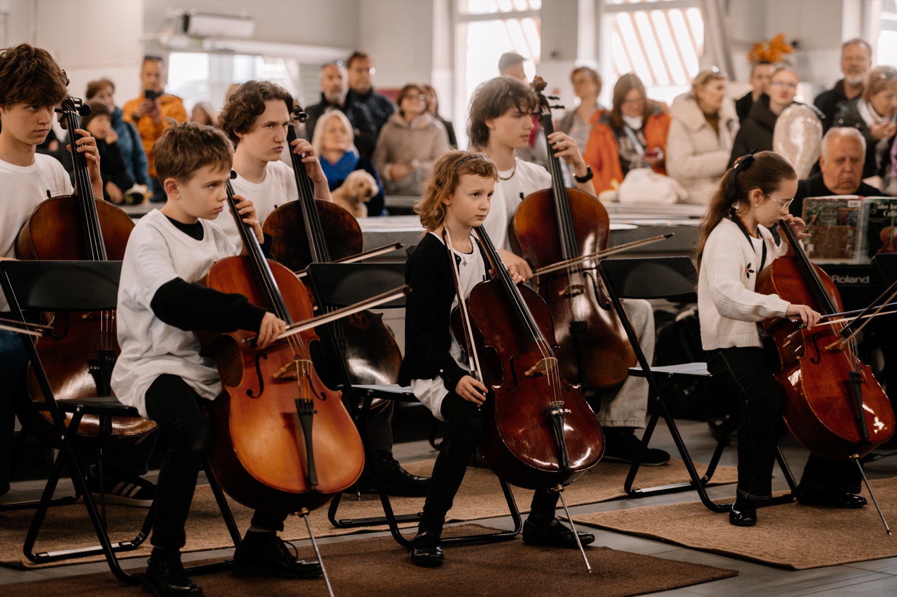 Jaunųjų violončelininkų orkestras